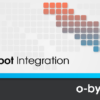 HubSpot Integration (Managed Service) – Bild 2